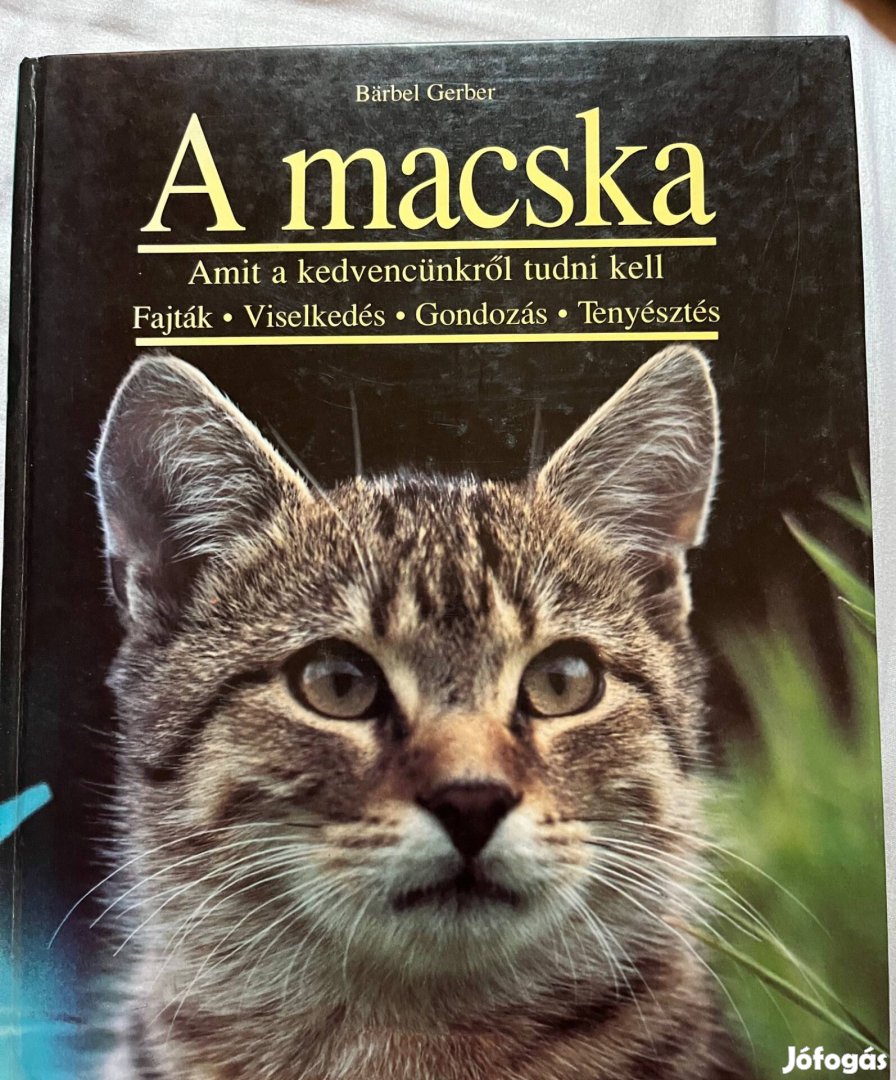 Barbel Gerber: A macska című könyv 3000 Ft