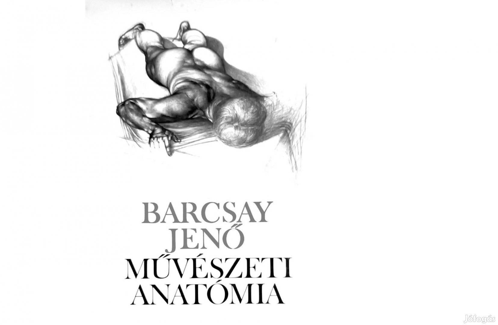 Barcsay Jenő - Művészeti anatómia