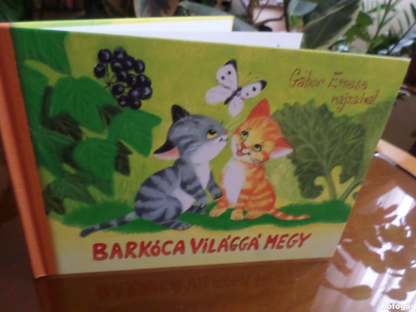 Barkóca Világgá MEGY verses mese, Gyermekkönyv