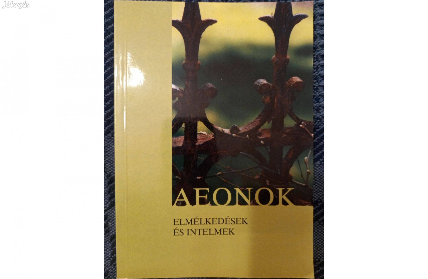 Báró Vay Ödönné: Aeonok című könyv jó állapotban eladó