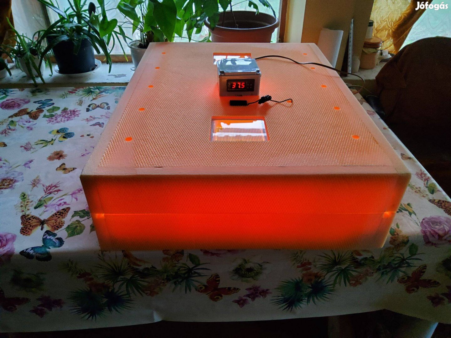 Baromfi Keltető 200 darabos