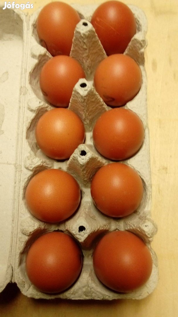 Baromfi- marans keltető tojás