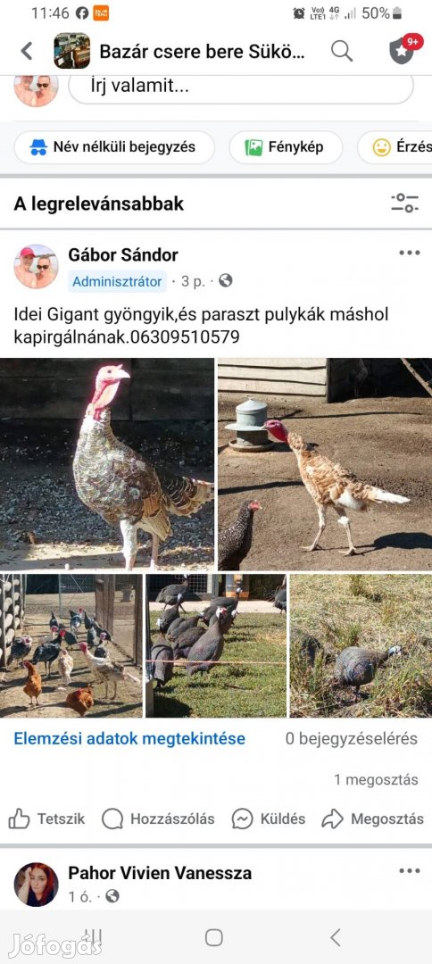 Baromfi máshol kapirgálna.