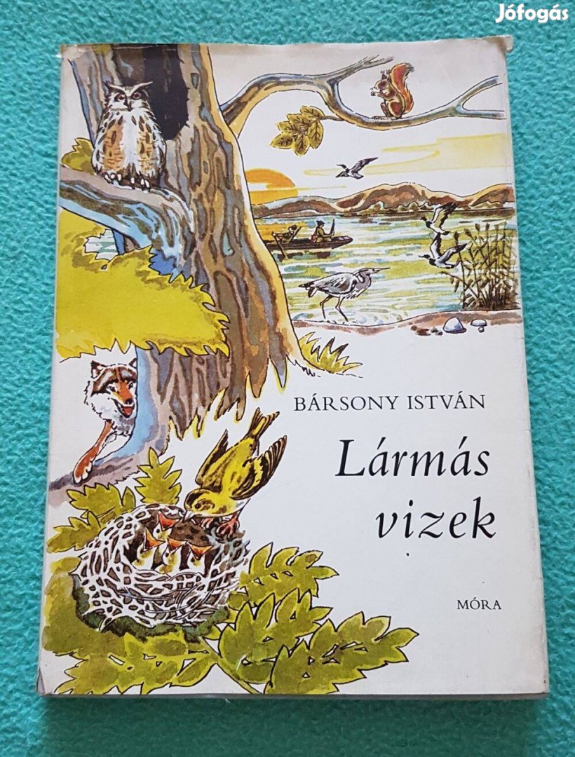 Bársony István - Lármás vizek könyv