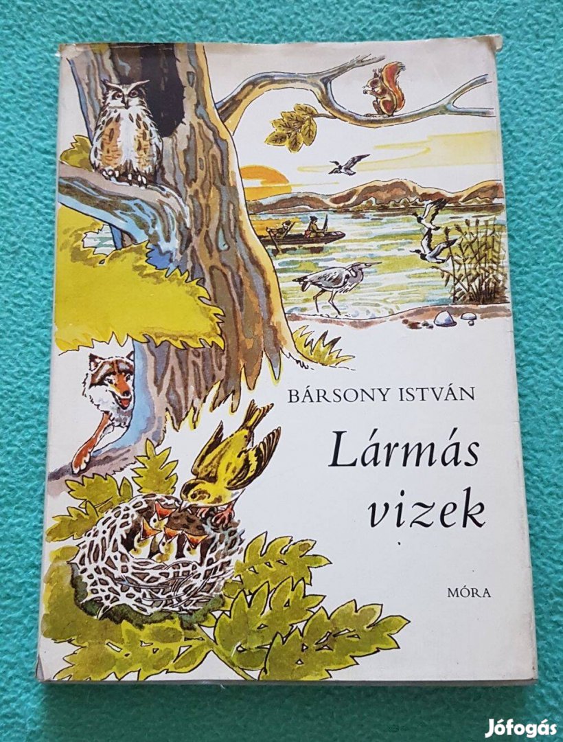 Bársony István - Lármás vizek könyv