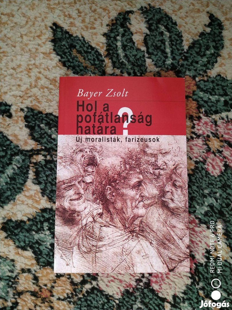 Bayer Zsolt - Hol a pofátlanság határa