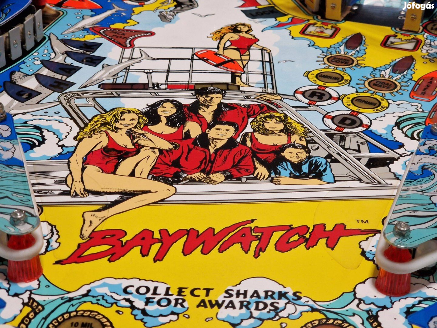 Baywatch flipper pinball