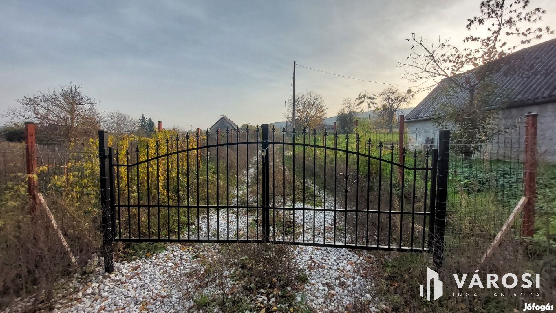 Bazsi szőlő hegyen 1,75 ha terület lakóépülettel eladó