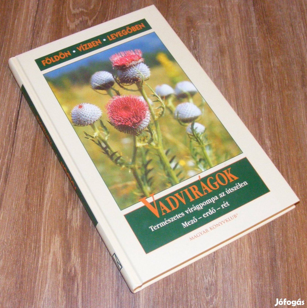 Beffa: Vadvirágok(Természetes virágpompa az útszélen)