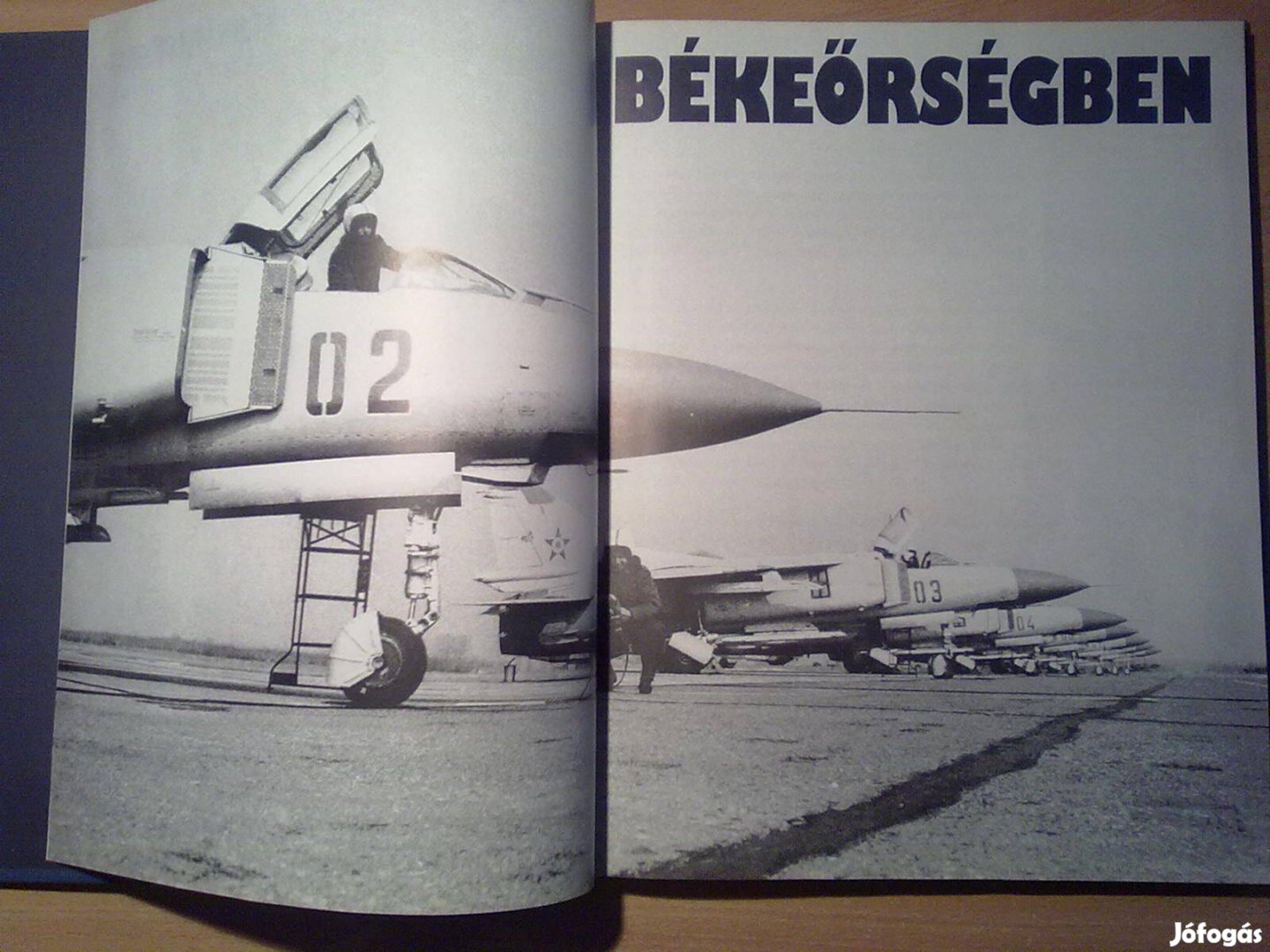 Békeőrségben Angol, német, orosz, arab és spanyol nyelven is