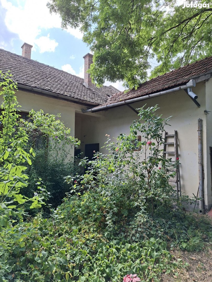 Békés belvárosában 146 m2 polgári családi ház eladó.