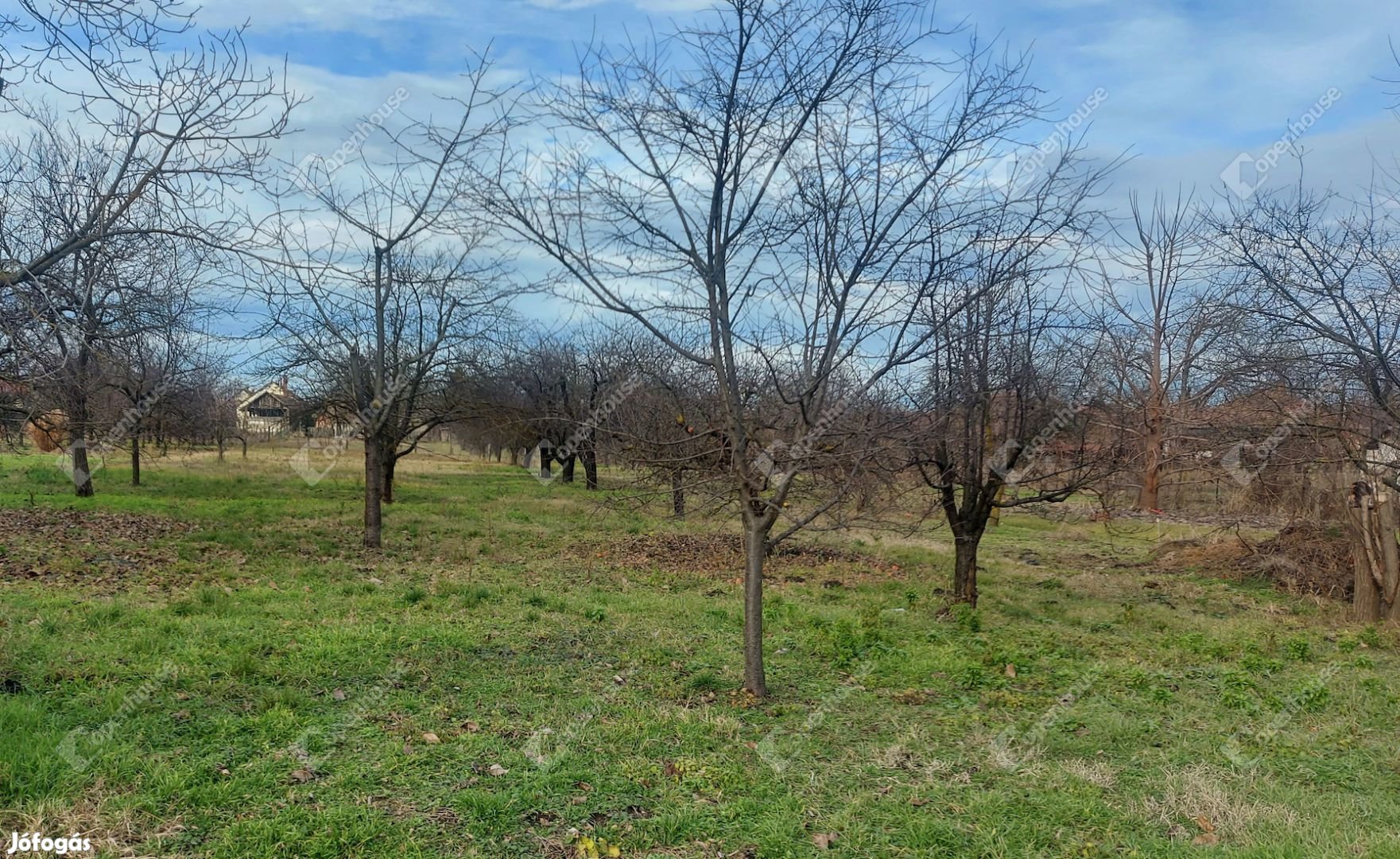 Békéscsaba, eladó telek