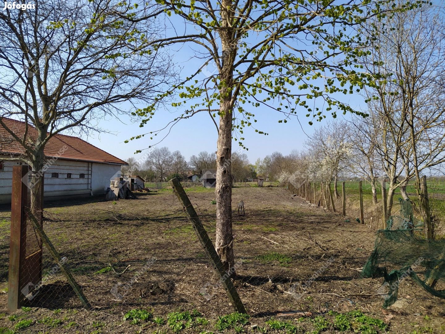 Békéscsabán Telek/Szántó eladó azonnali birtokbavétel!