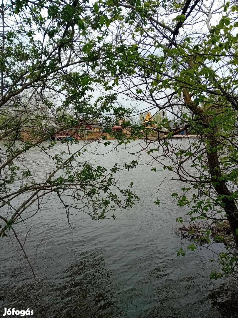 Békésszentandrási közvetlen vízparti telek eladó