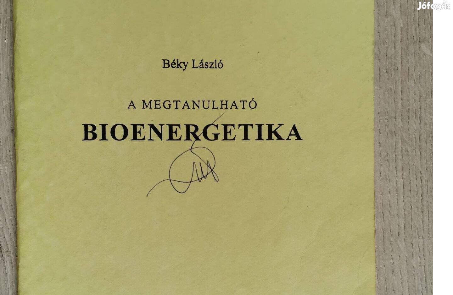 Béky László - A megtanulható bioenergetika