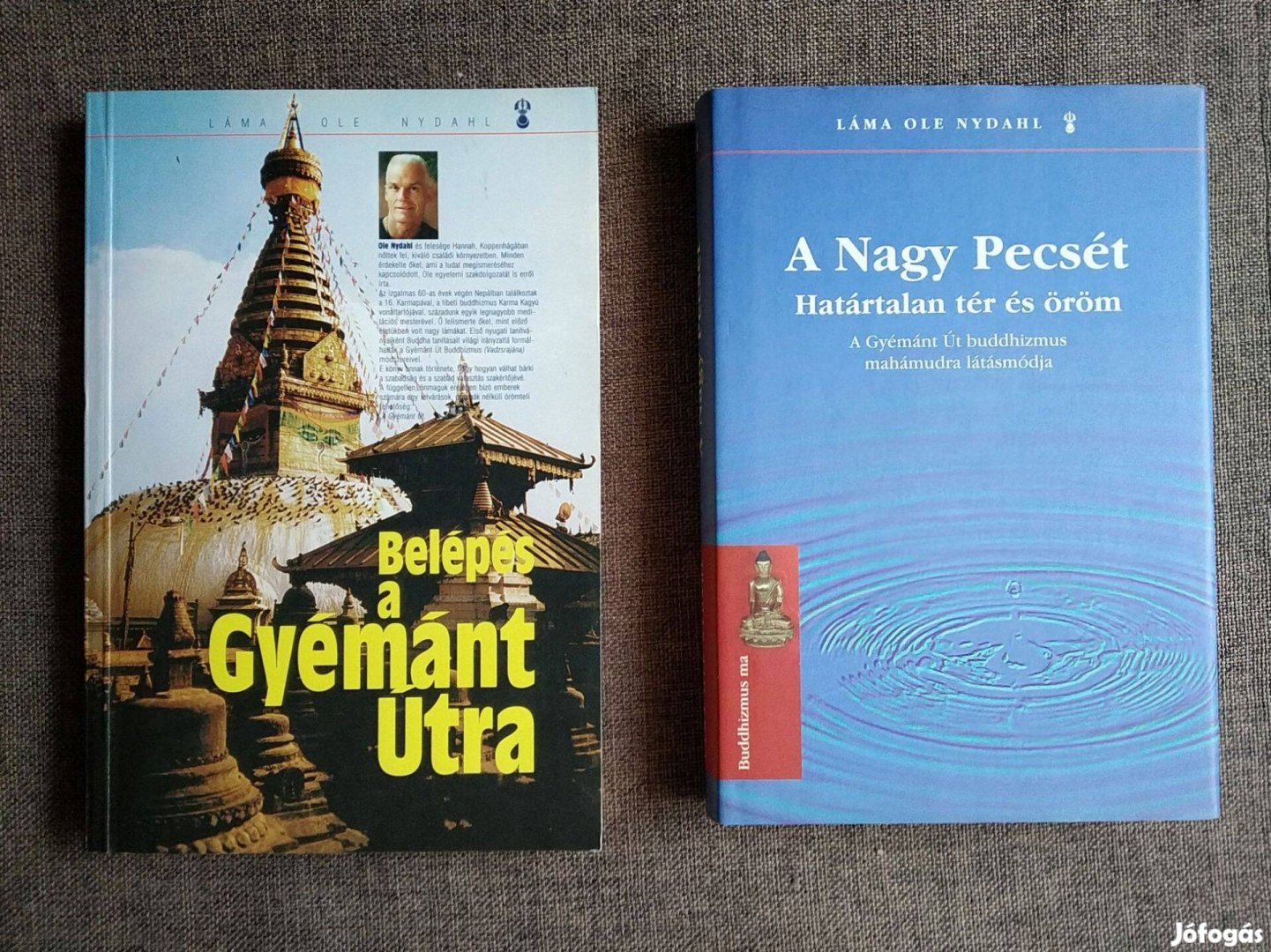 Belépés a Gyémánt Útra, Ole Nydahl