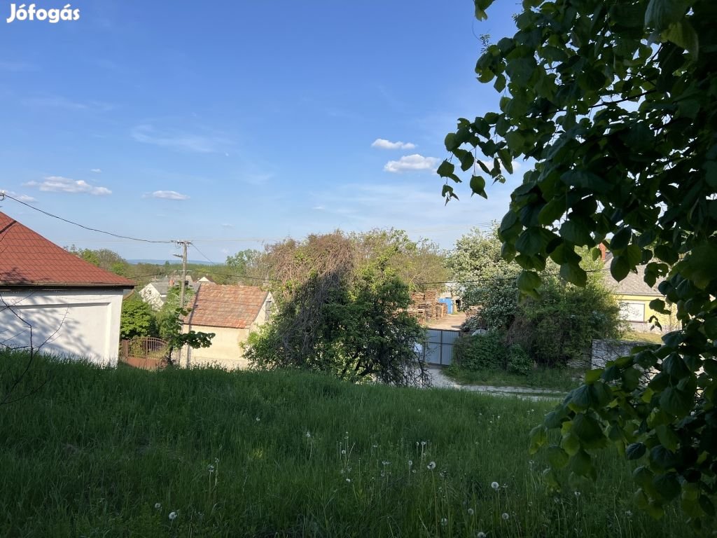 Belterületi árutermelési mezőgazdasági övezet