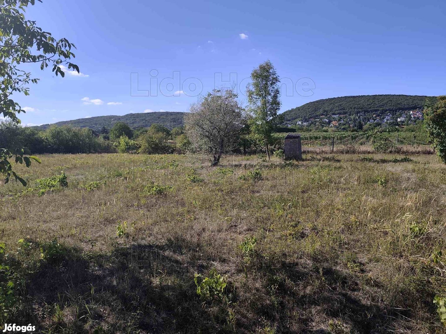 Belterületi építési telek Csopakon, gyönyörű környezetben!