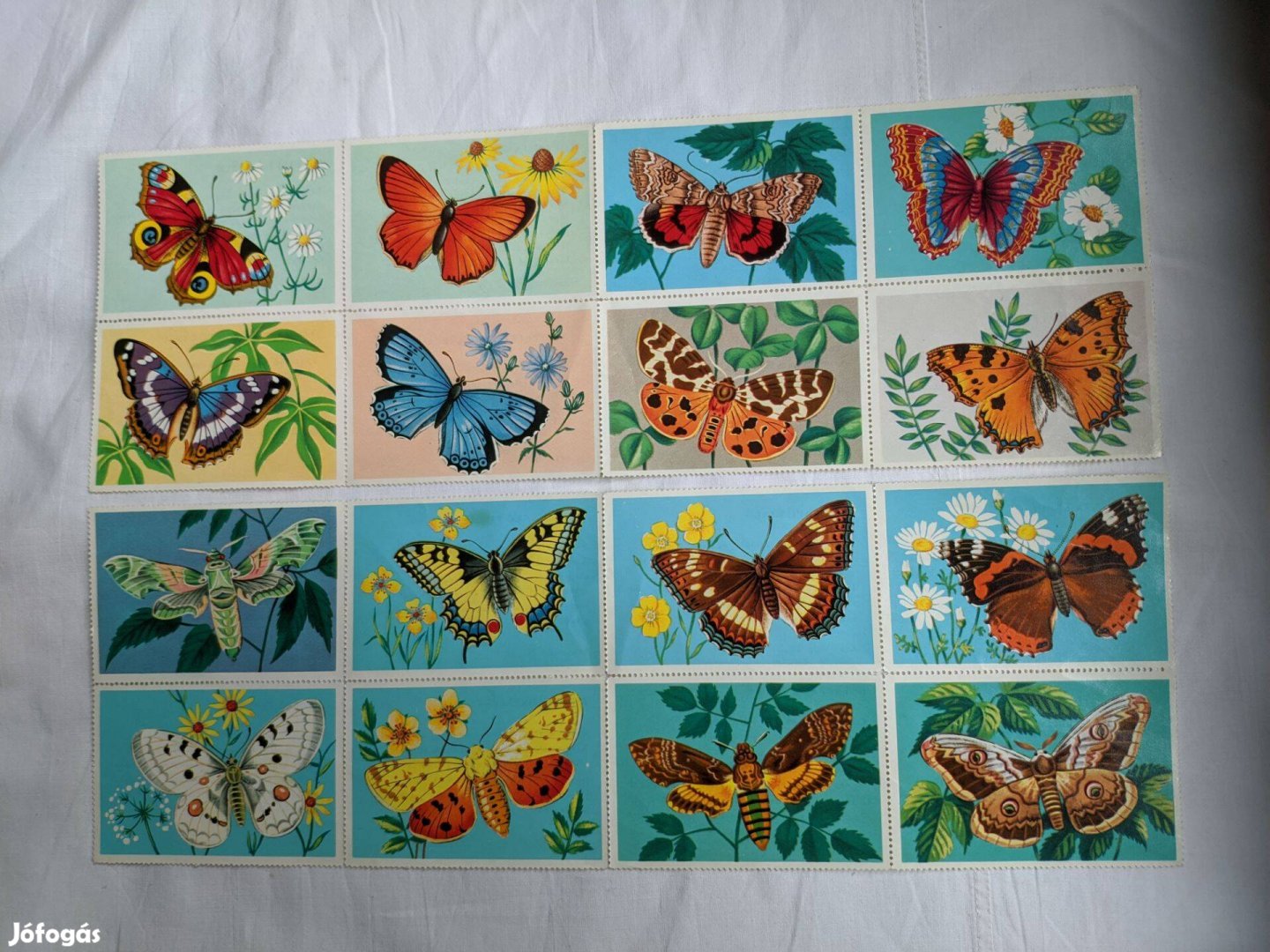 Bélyeg minta Lepke képek