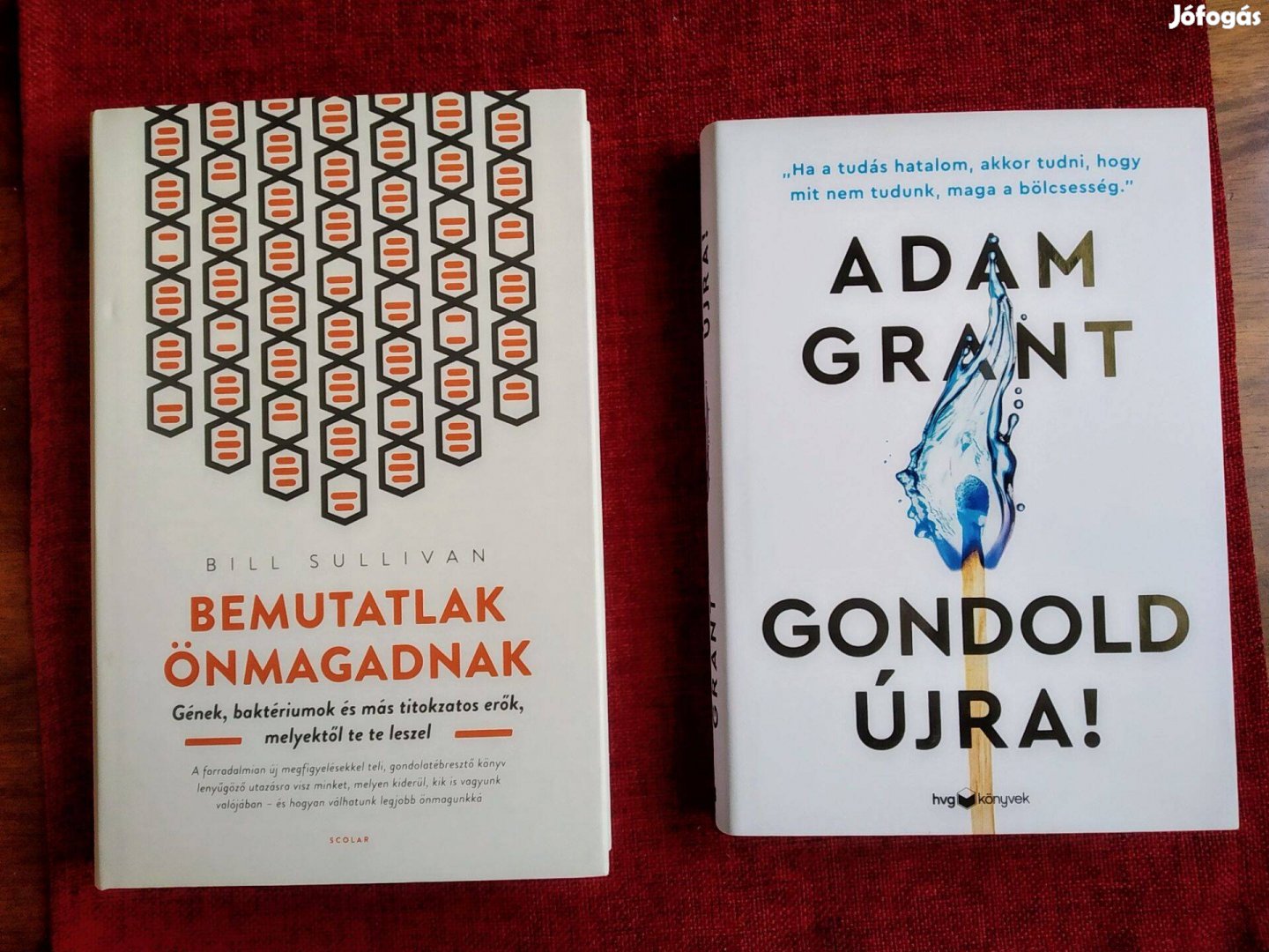 Bemutatlak önmagadnak Bill Sullivan Gének, baktériumok és