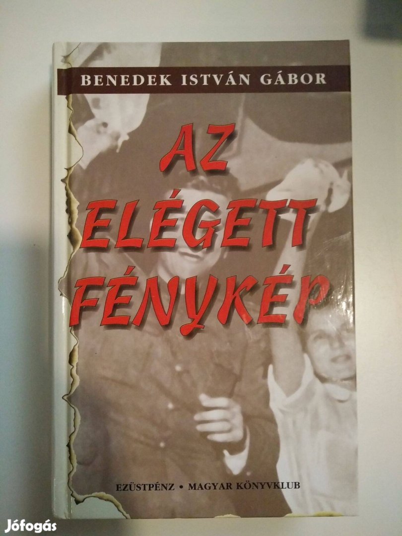 Benedek István Gábor - Az elégett fénykép