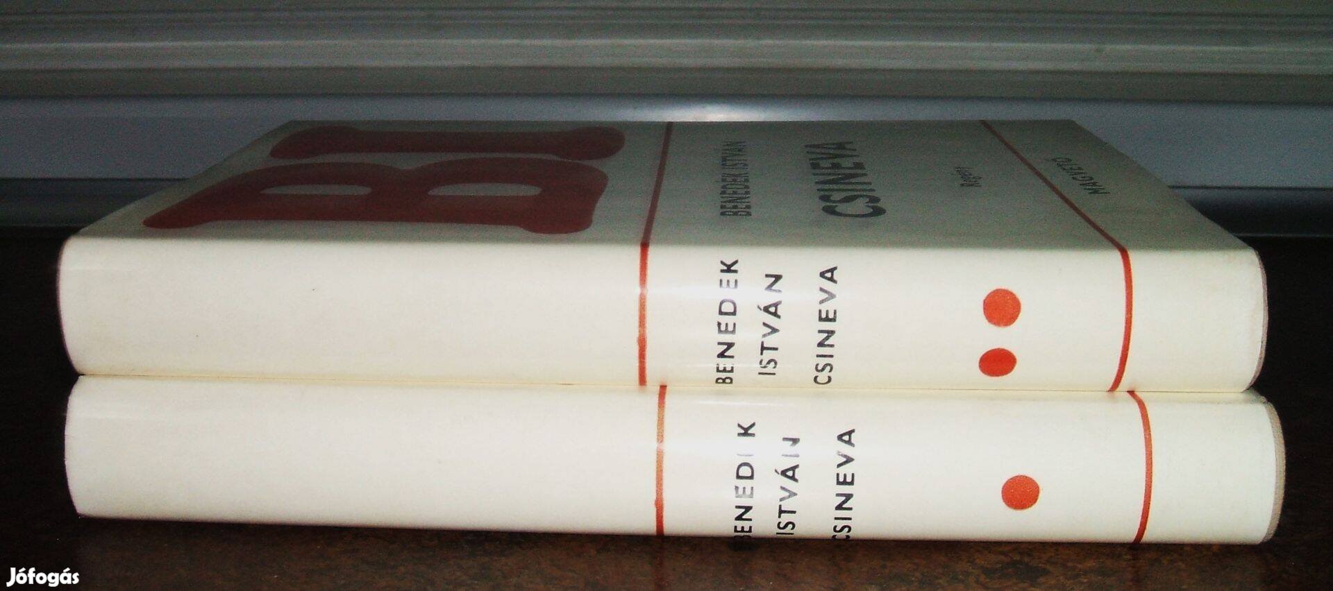 Benedek István Csineva c. regénye