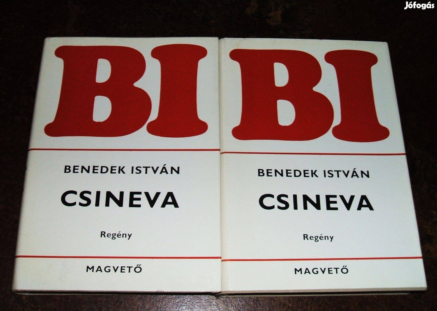 Benedek István: Csineva c. regénye, I-II.kötet