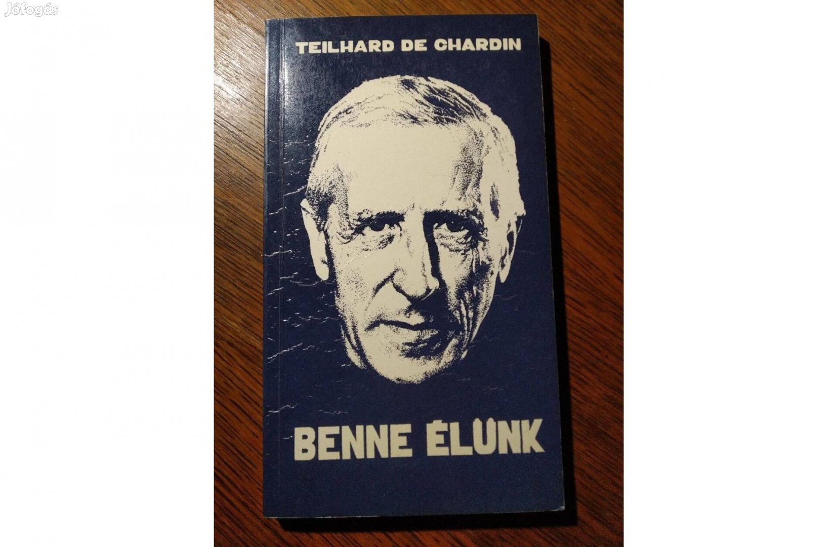 Benne Élünk Pierre Teilhard de Chardin, Az emberi jelenség