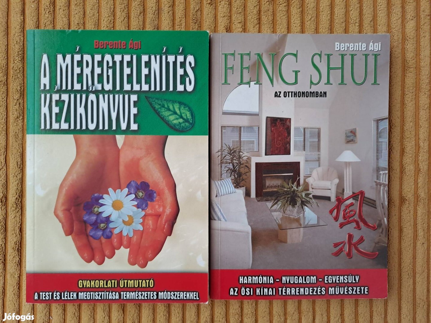 Berente Ági: Feng Shui az otthonomban+ A méregtelenités kézikönyve