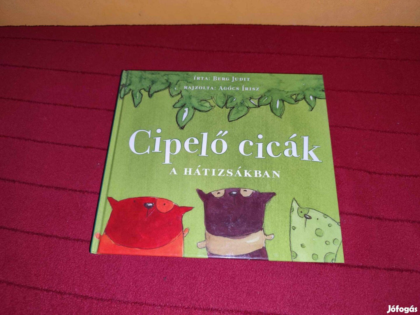 Berg Judit: Cipelő cicák a hátizsákban