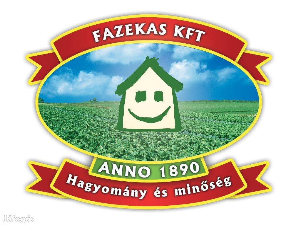 Betanított munka Ecseren