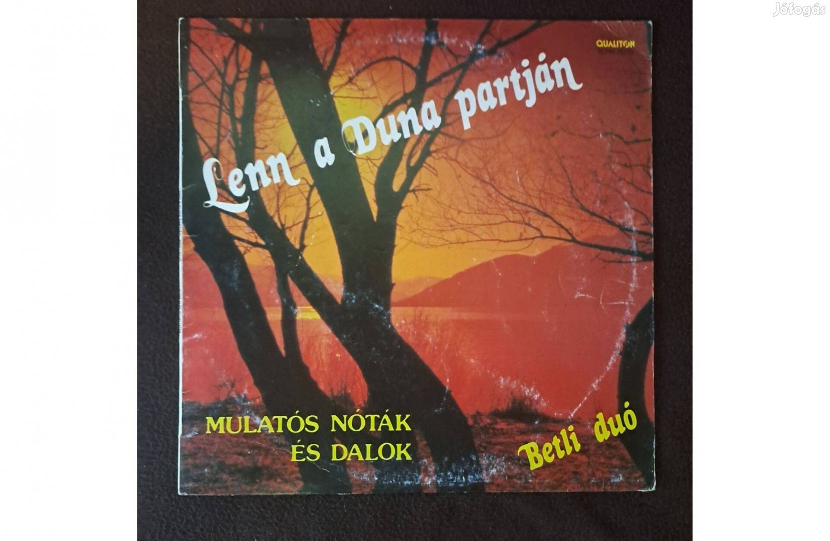 Betli Duó - Lenn A Duna Partján (Mulatós Nóták És Dalok) LP