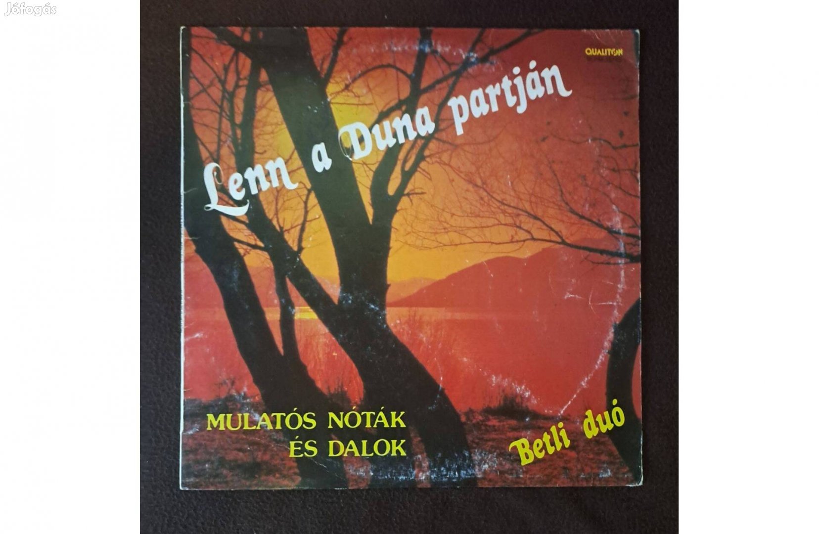 Betli Duó - Lenn A Duna Partján (Mulatós Nóták És Dalok) LP