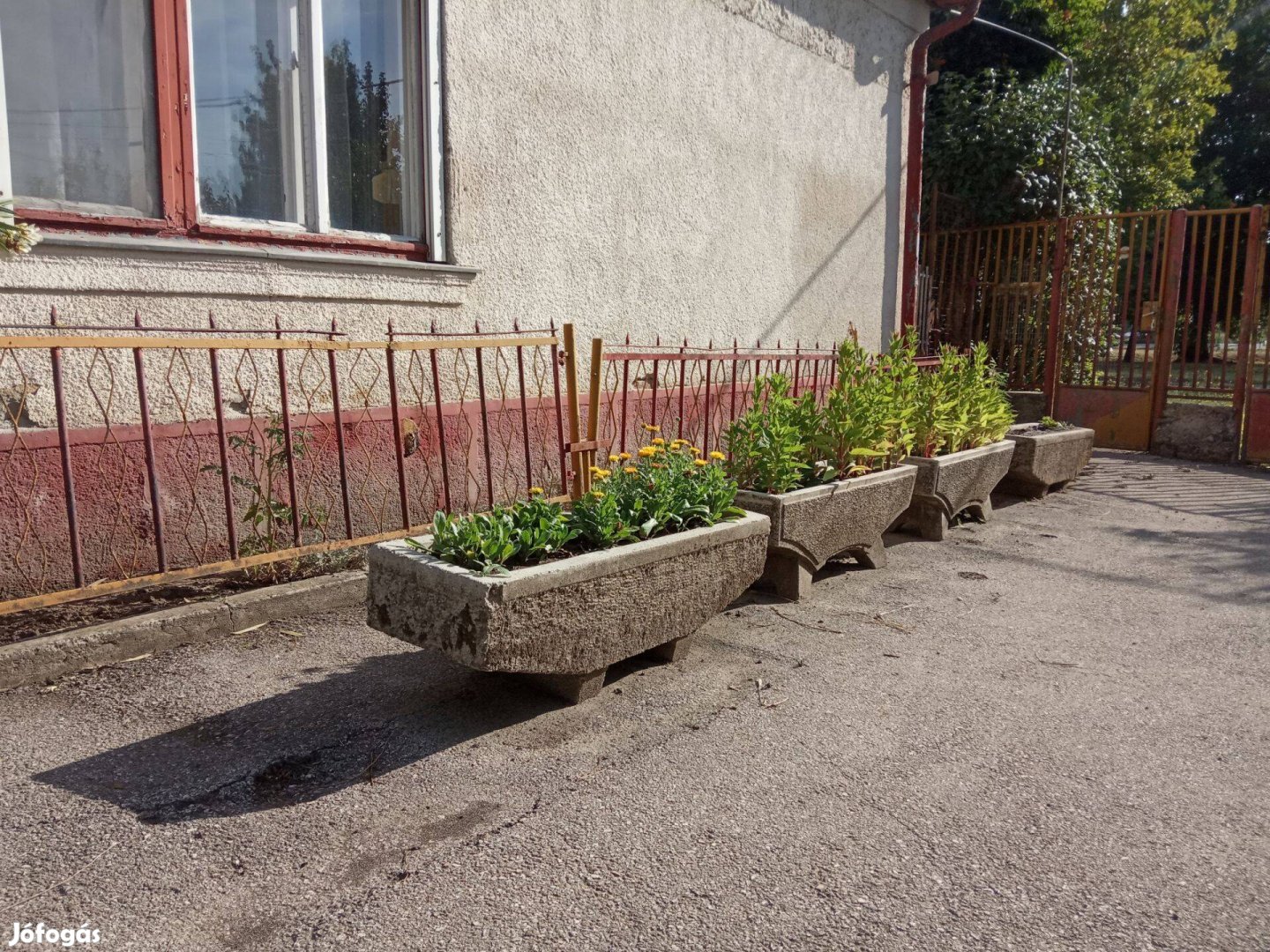 Beton virágtartó Bicskén