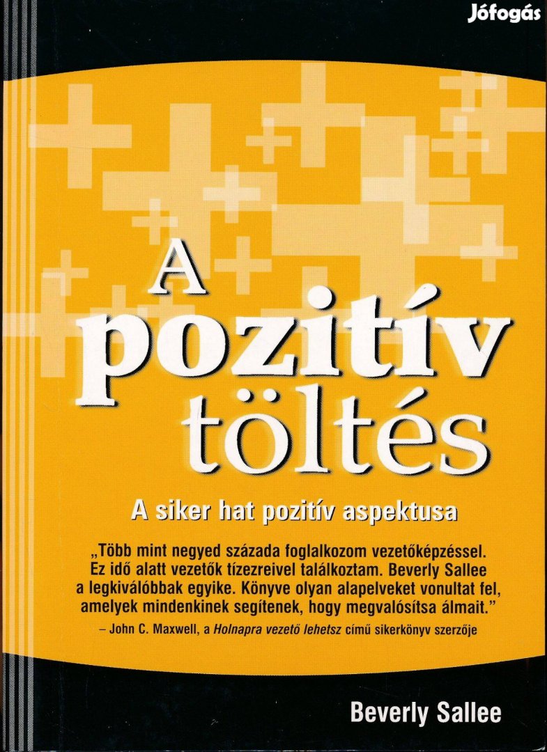 Beverly Sallee: A pozitív töltés - A siker hat pozitív aspektusa