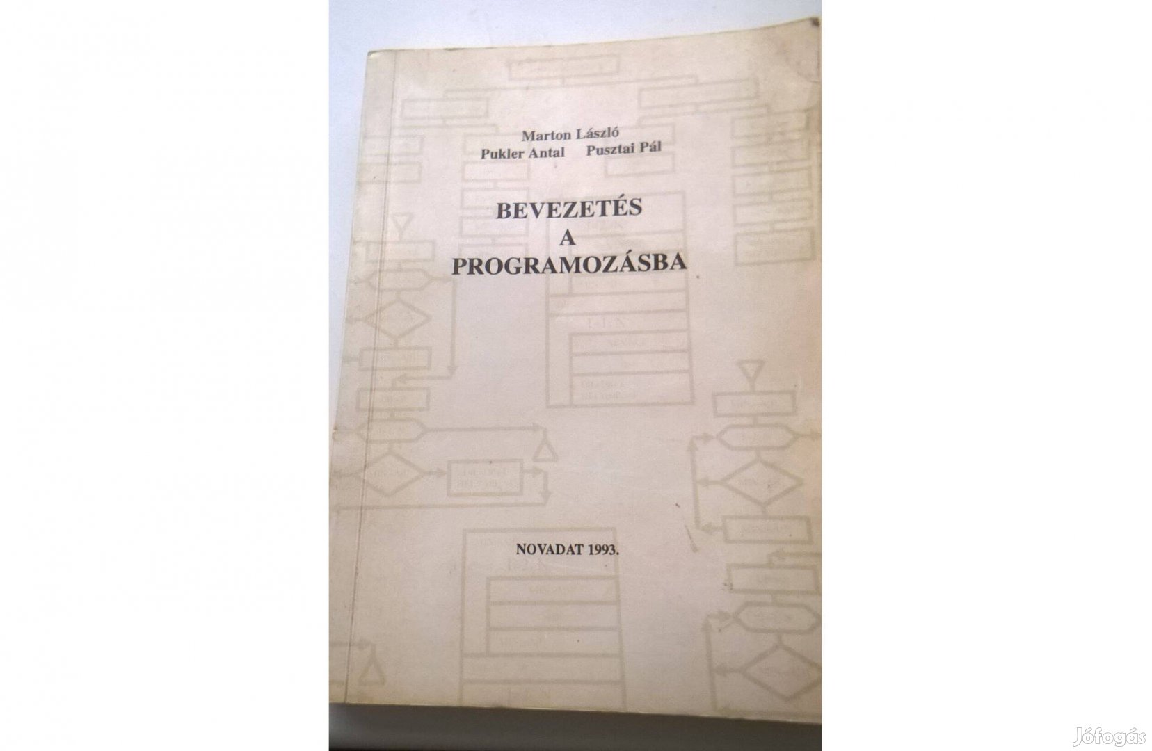 Bevezetés a programozásba - Marton László , Novadat kiadó