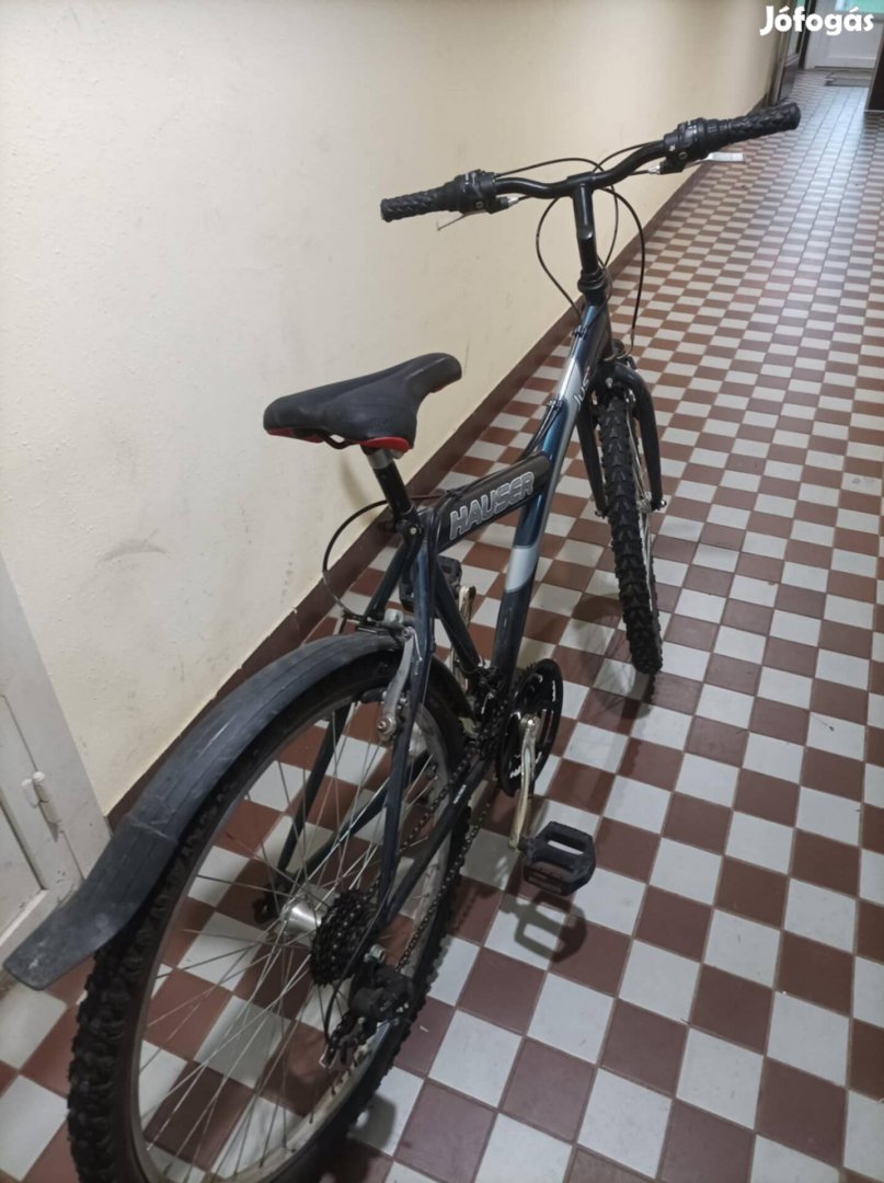 Bicikli Acelvazas