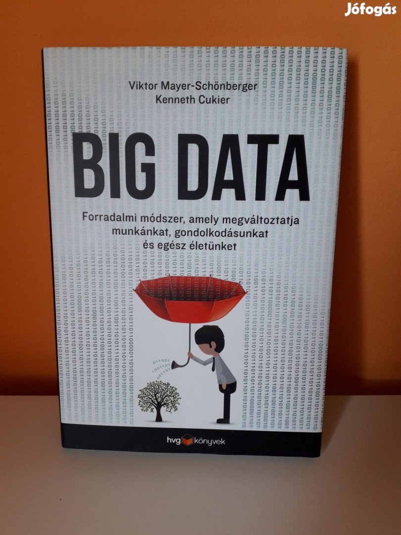 Big Data (HVG könyv)