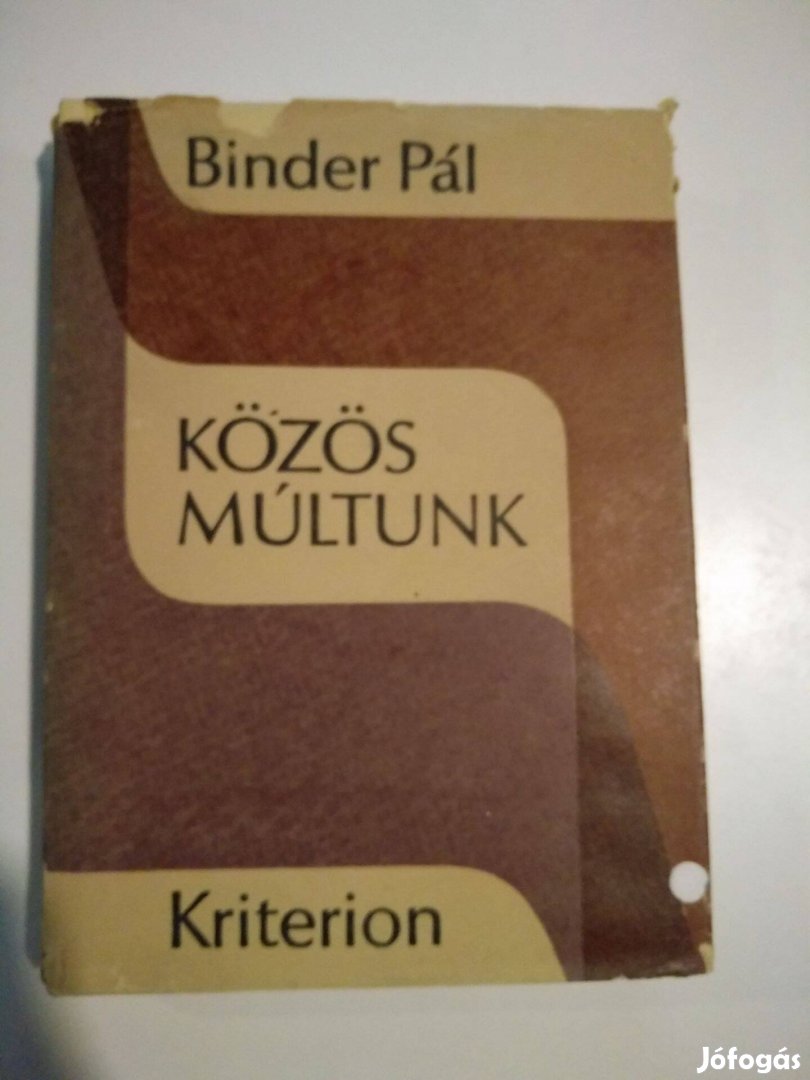 Binder Pál - Közös múltunk Románok, Magyarok, Németek És Délszlávok