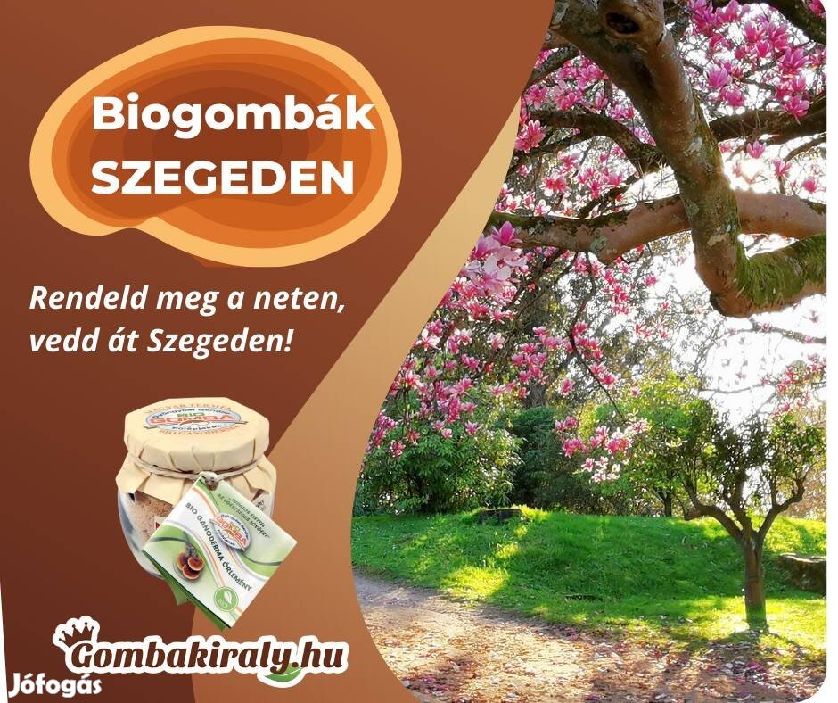 Biogombák Szegeden