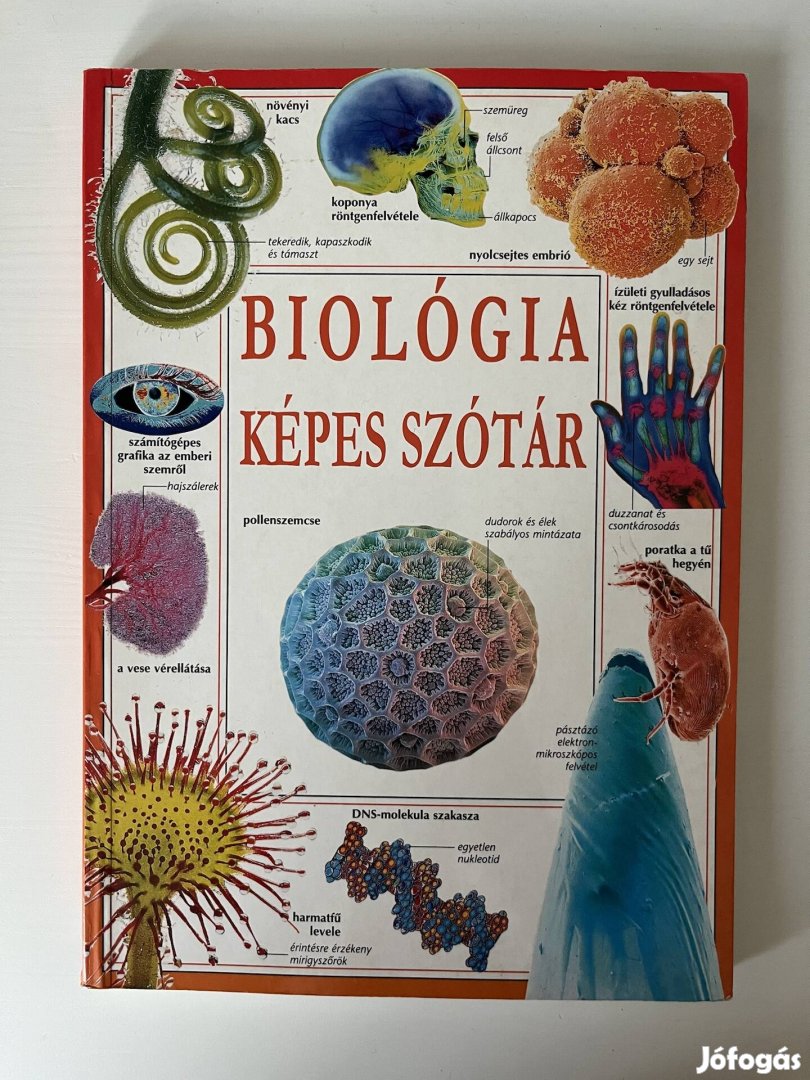 Biológia képes szótár