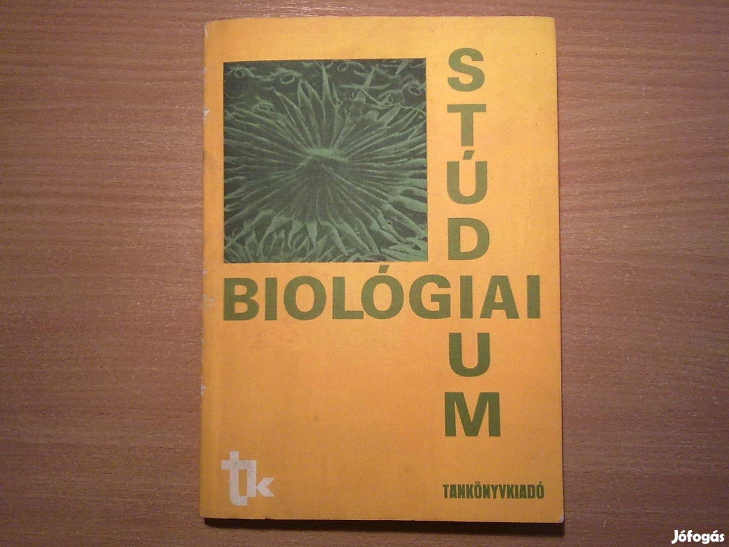 Biológiai stúdium - A felsőfokú tanulmányokra előkészítő tanfolyamo