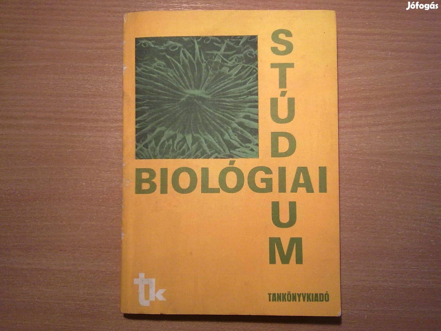 Biológiai stúdium - A felsőfokú tanulmányokra előkészítő tanfolyamok