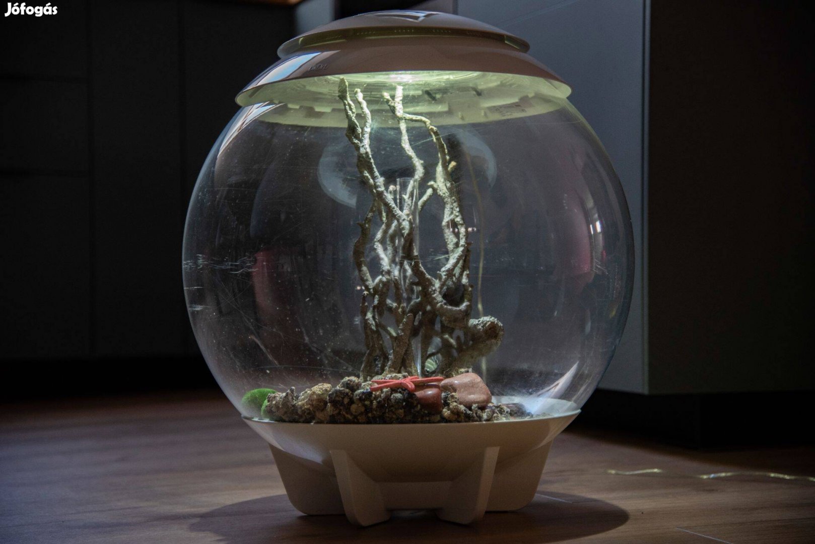Biorb Air 60 automatizált terrárium