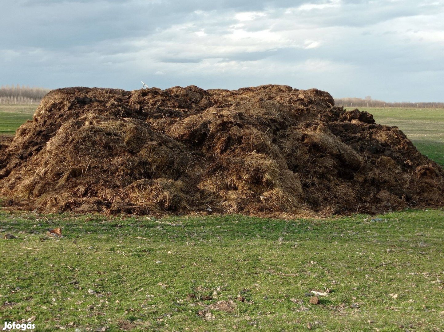 Birka trágya eladó