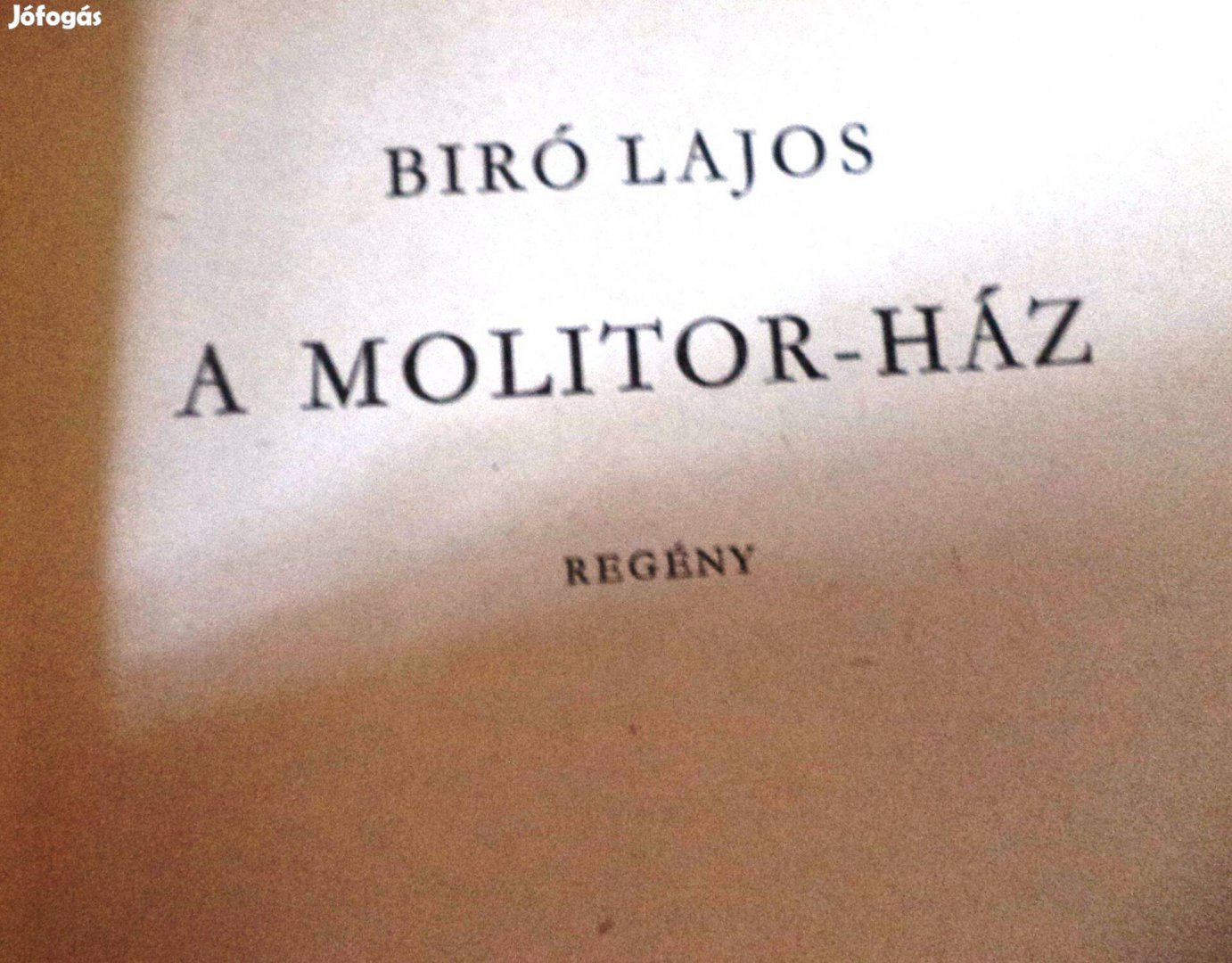 Biró Lajos: A Molitor - ház