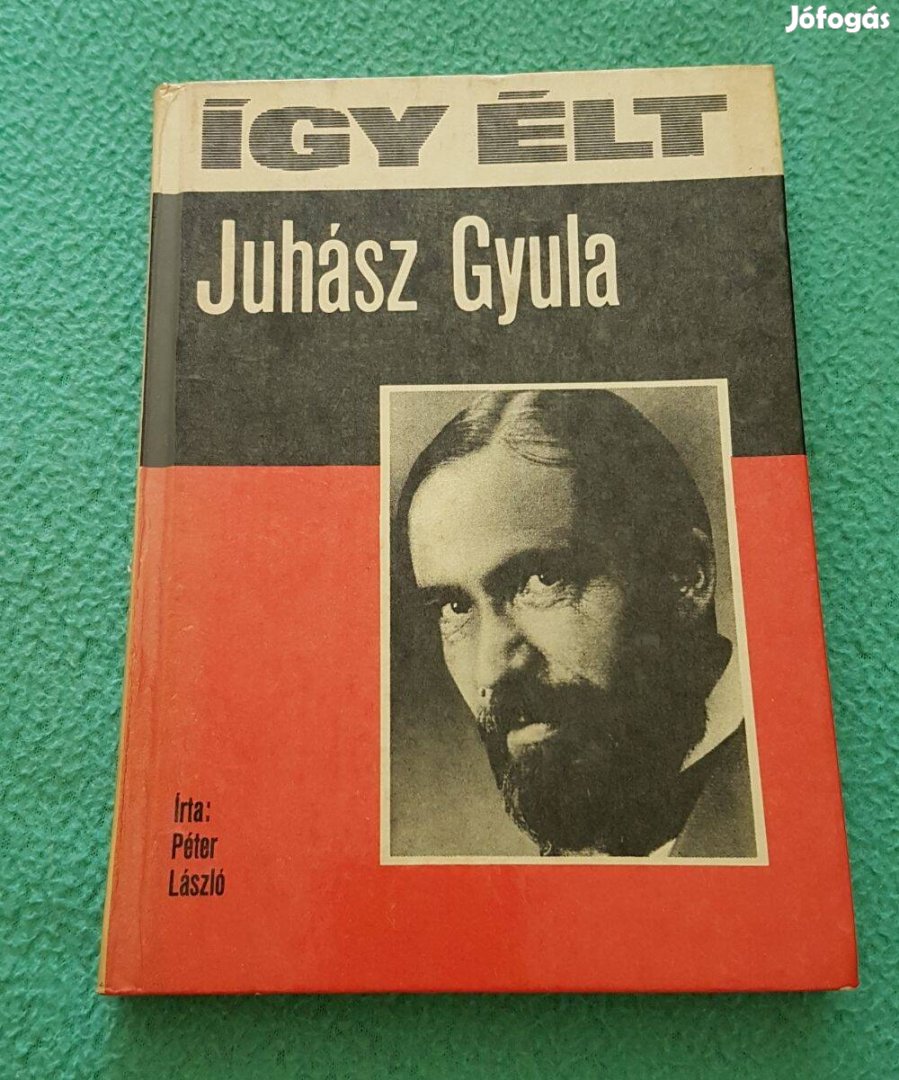 Bitskey István - Így élt Juhász Gyula könyv