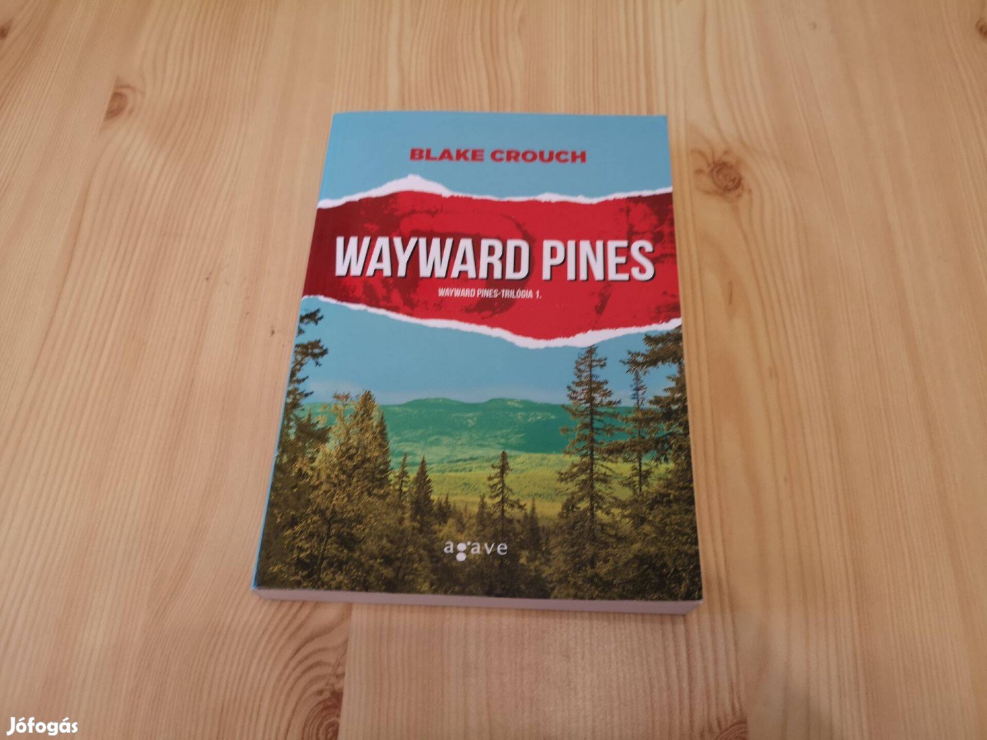 Blake Crouch - Wayward Pines