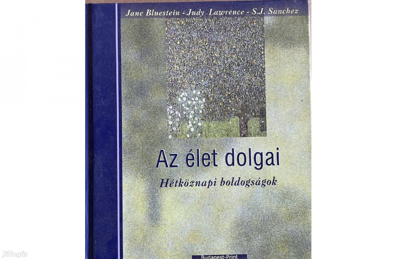 Bluestein-Lawrence-Sanchez Az élet dolgai - Hétköznapi