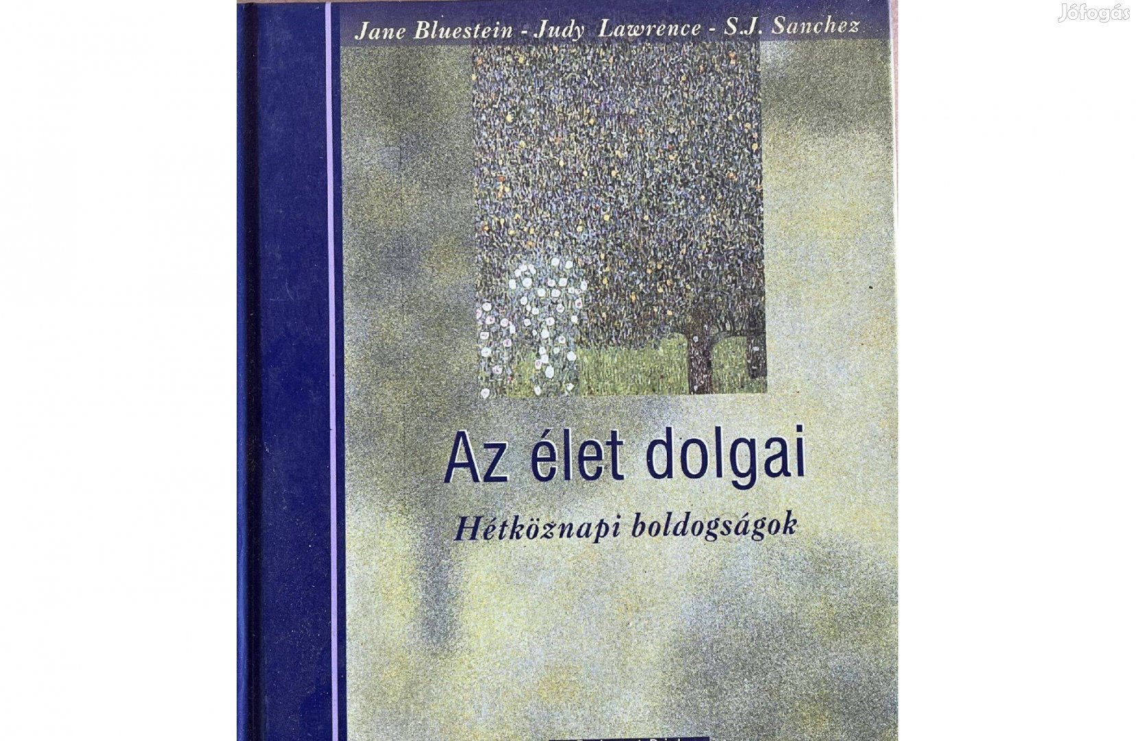 Bluestein-Lawrence-Sanchez: Az élet dolgai - Hétköznapi boldogságok